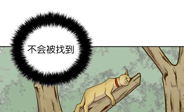 第85章：悄声无息2