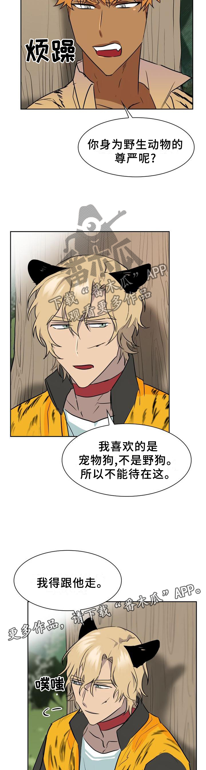 第137章：【第二季】野生动物的尊严6