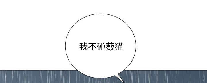 第61章：想清楚了5