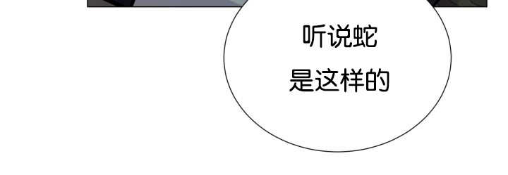 第37章：我喜欢他21