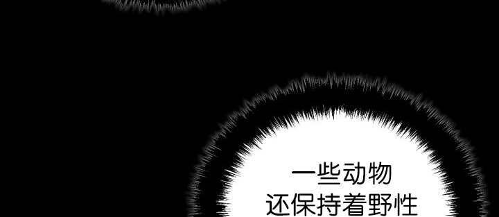 第78章：傲娇小熊猫44