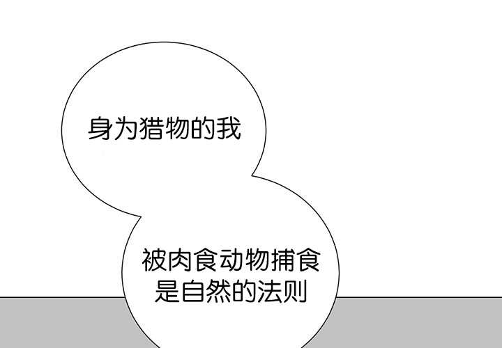 第10章：发生意外42