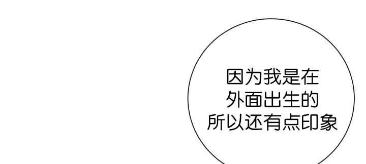 第86章：他的直觉9