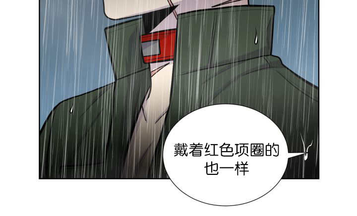 第61章：想清楚了8