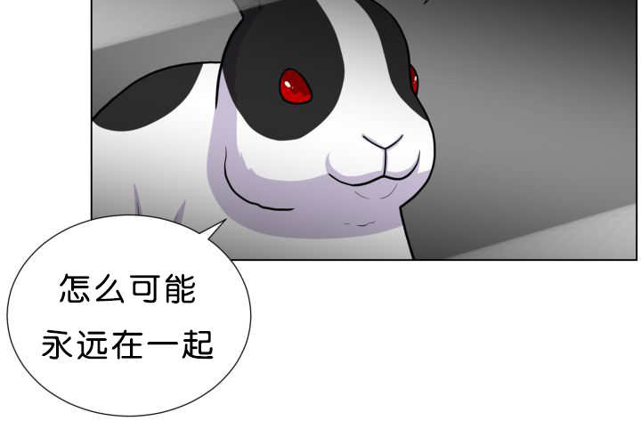 第39章：你还好吧24