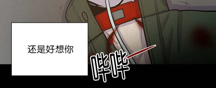 第68章：想再见他46
