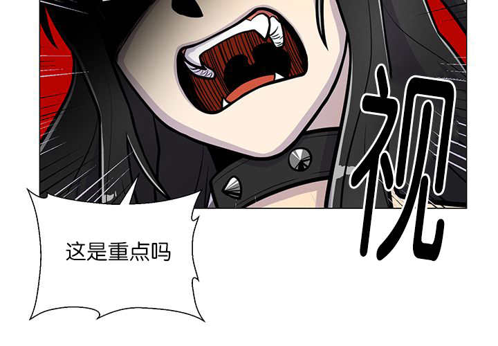 第19章：不会放过1