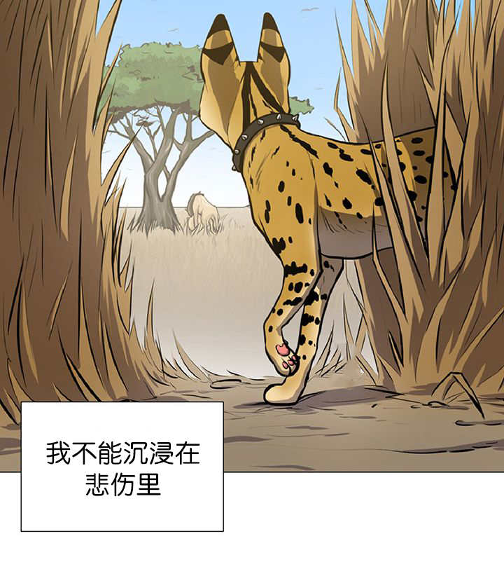 第11章：牺牲自由36