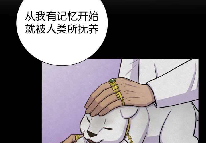 第87章：向往外界10