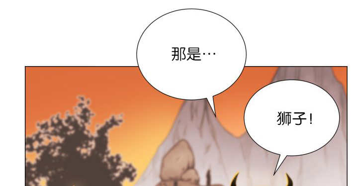 第16章：首选目标24