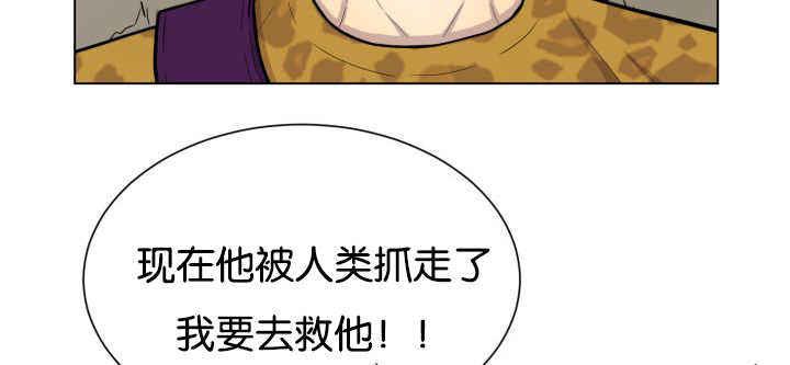 第46章：别耍花招29