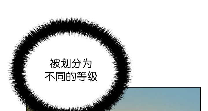 第85章：悄声无息7