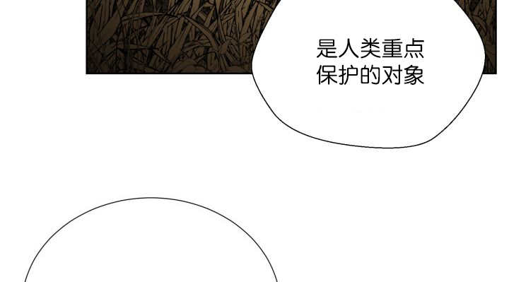 第64章：超无聊的31