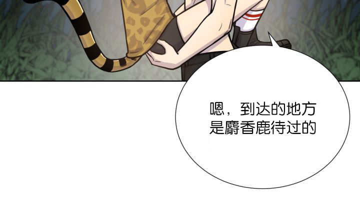 第65章：我的全部11
