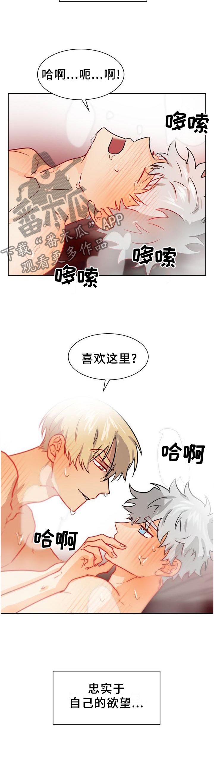 第141章：【第二季完结】有你的地方5