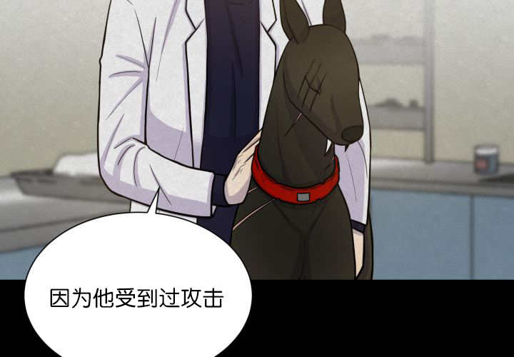 第68章：想再见他54