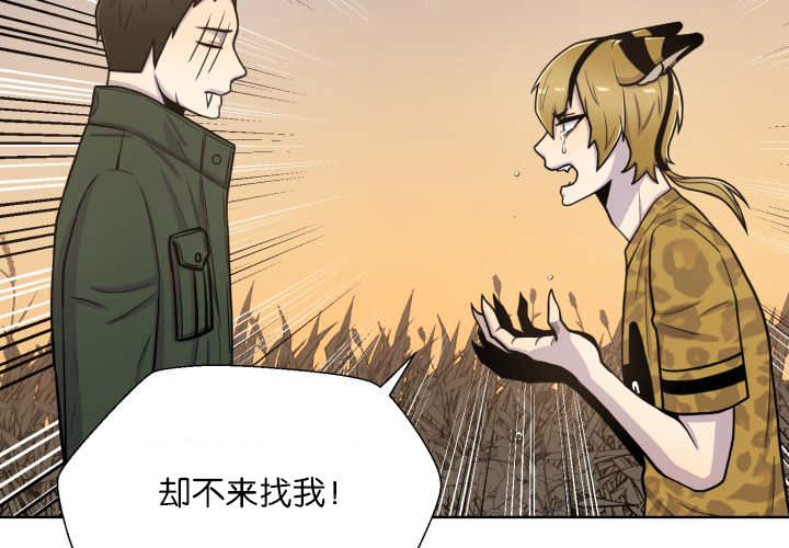第66章：因为是你51