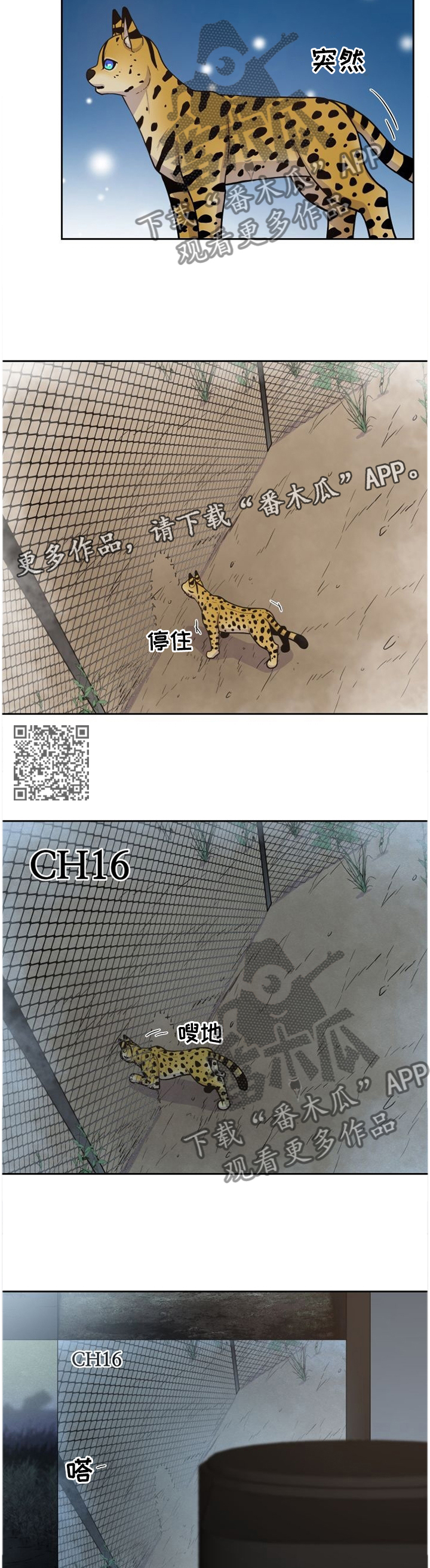 第88章：穿过5