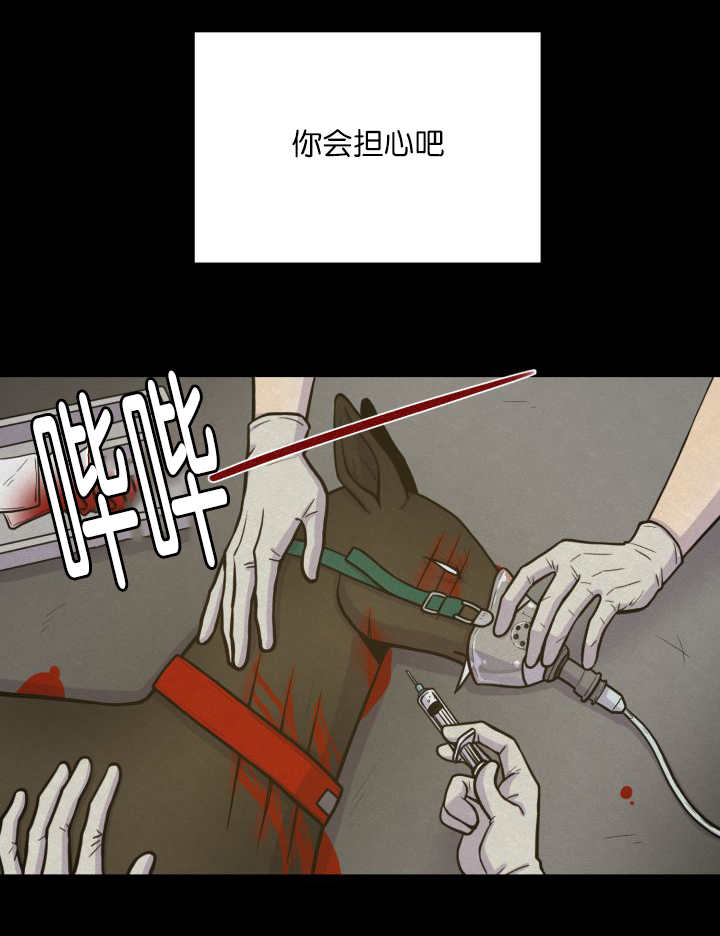 第68章：想再见他40