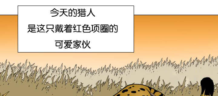 第43章：寂静之下45