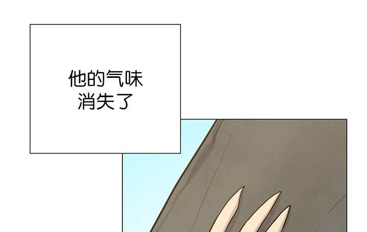 第11章：牺牲自由17