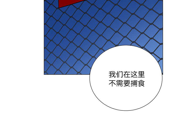 第2章：吃不下我34