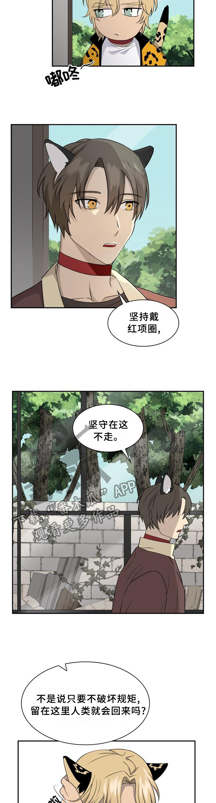 第96章：【第二季】枪声1