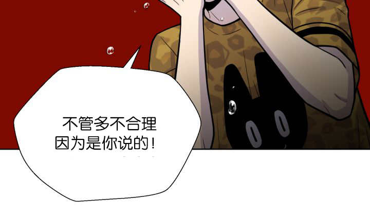 第66章：因为是你49