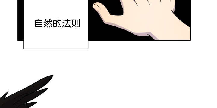 第65章：我的全部41