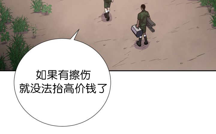 第81章：要去哪里23