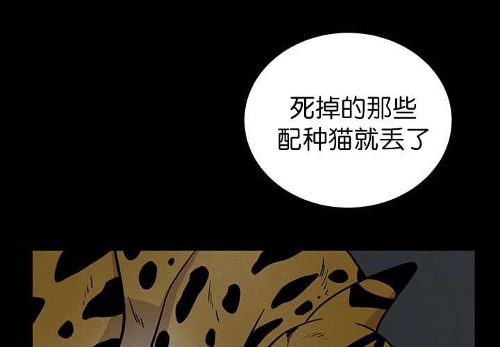 第6章：生出宝宝12