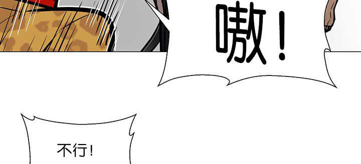 第16章：首选目标39