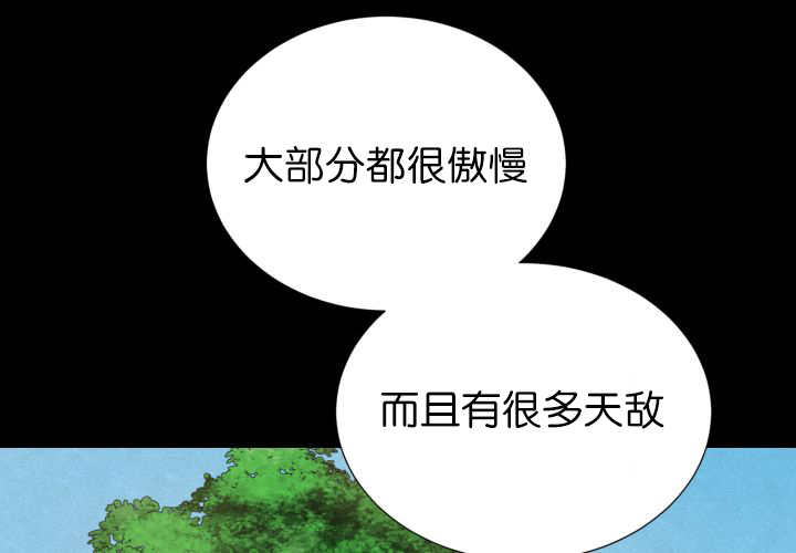 第73章：给我带路31
