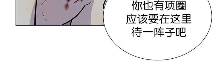 第3章：好好记着44
