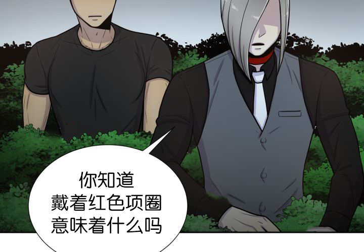 第81章：要去哪里35