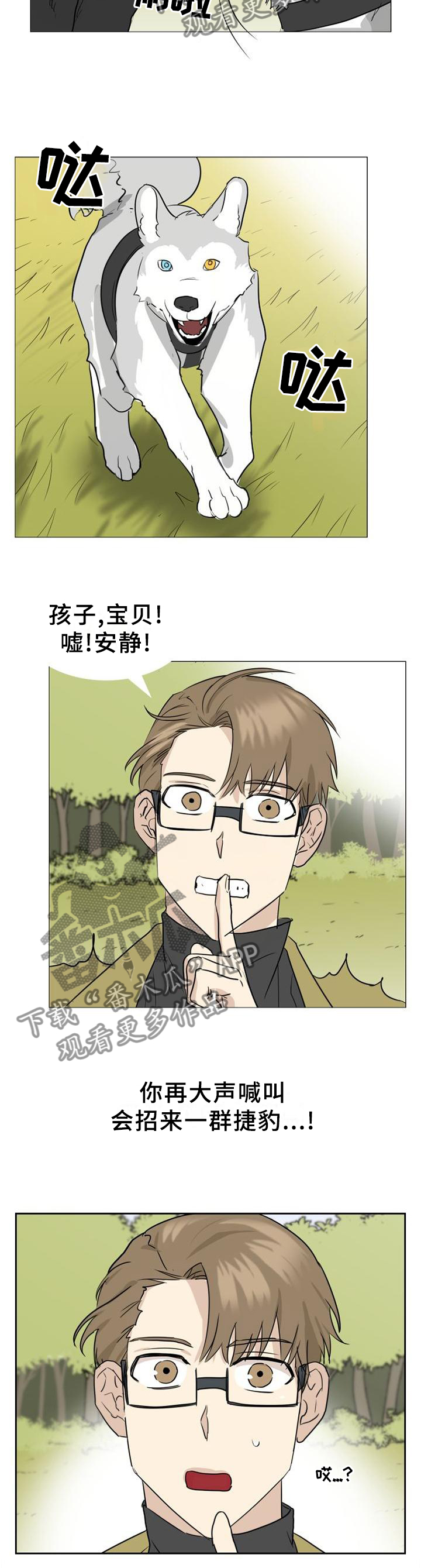 第137章：【第二季】野生动物的尊严10