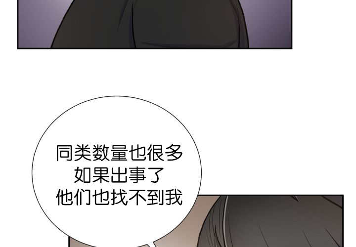第82章：找不到我22