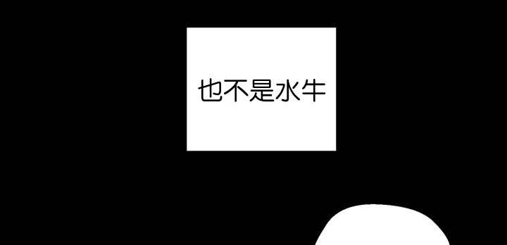 第83章：只看着我50