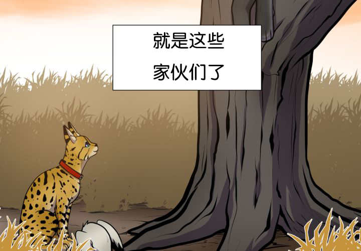 第44章：现在去哪11