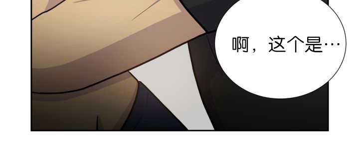 第78章：傲娇小熊猫27