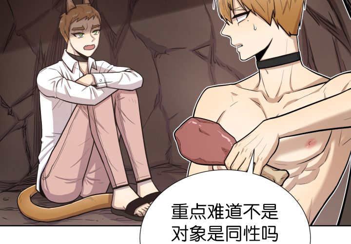 第53章：确认领地55