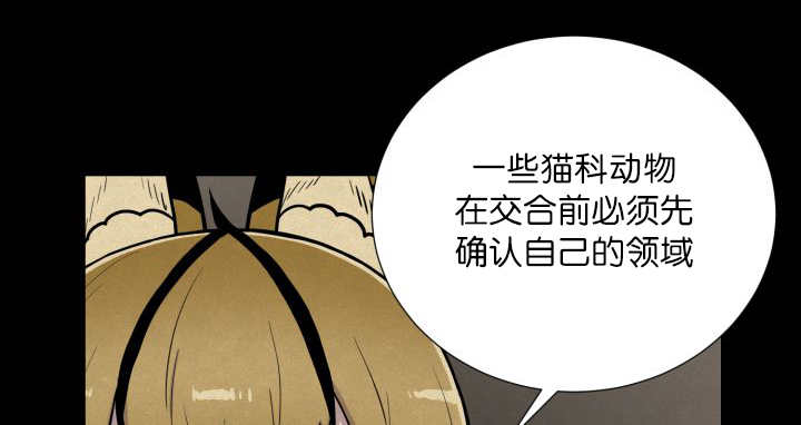第58章：什么意义35
