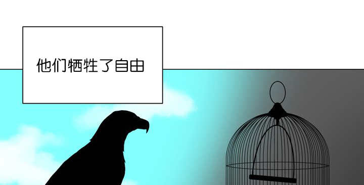 第11章：牺牲自由49