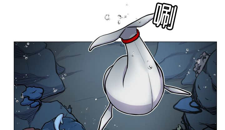 第34章：正式告白5