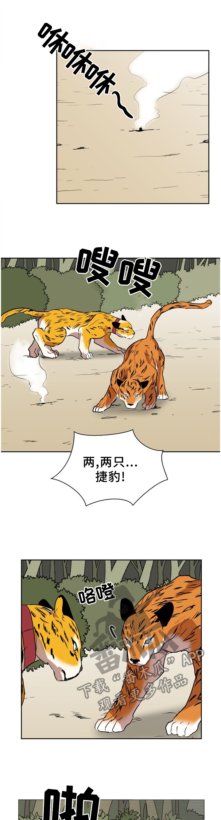 第137章：【第二季】野生动物的尊严2