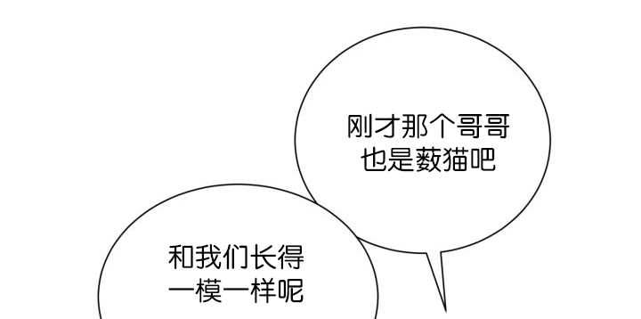 第68章：想再见他0