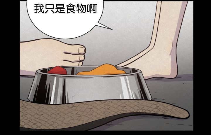 第42章：来温暖你46