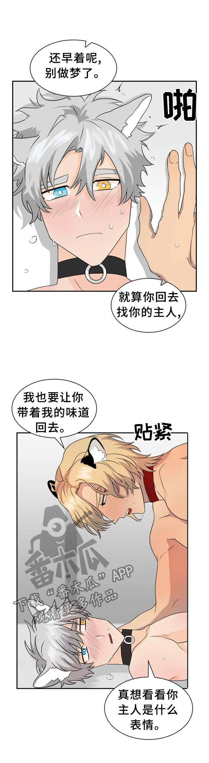 第119章：【第二季】猎物0