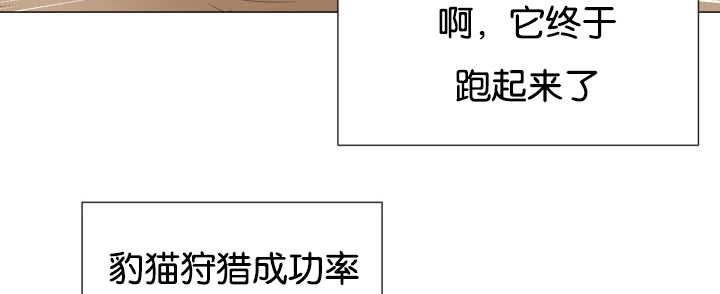 第43章：寂静之下51
