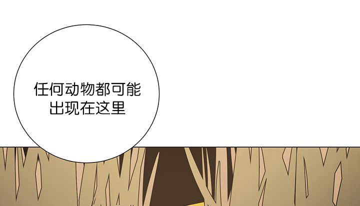 第14章：在做什么33